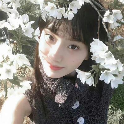 壳中少女:排气