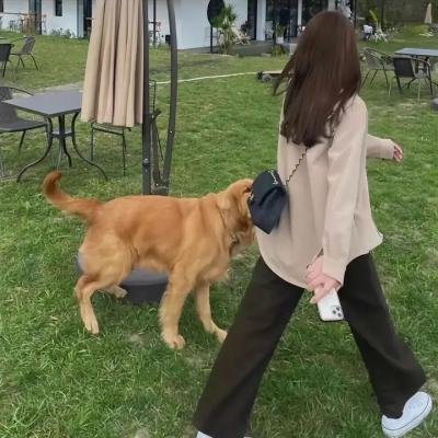 王牌特技人